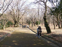 03tagP1090779_thumb.jpg
